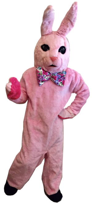 Pink Bunny