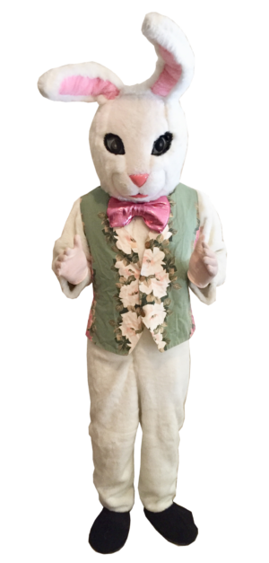 White Bunny